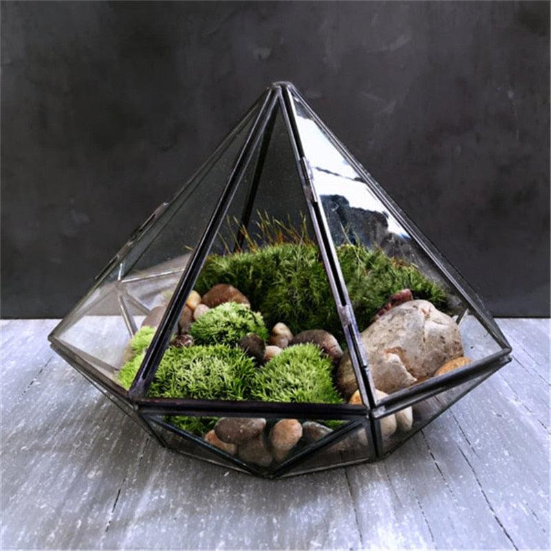 Homsdream™ Glass Terrarium - Homsdream